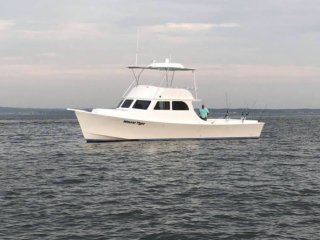 Wound Tight Charter Boat